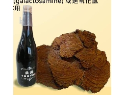 桑黃萃取液